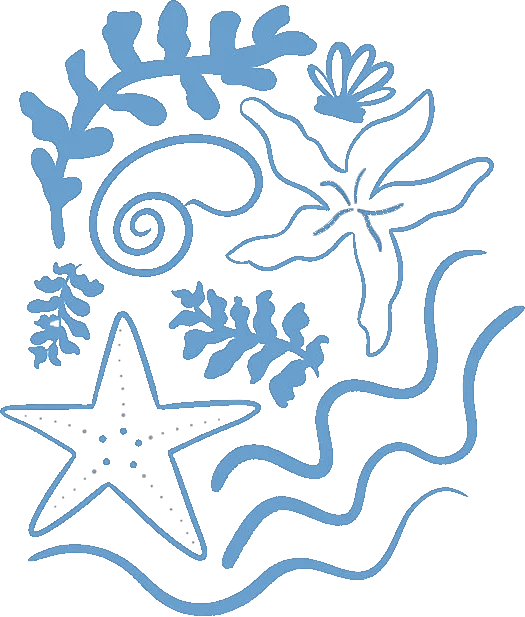 Ocean aesthetic primary