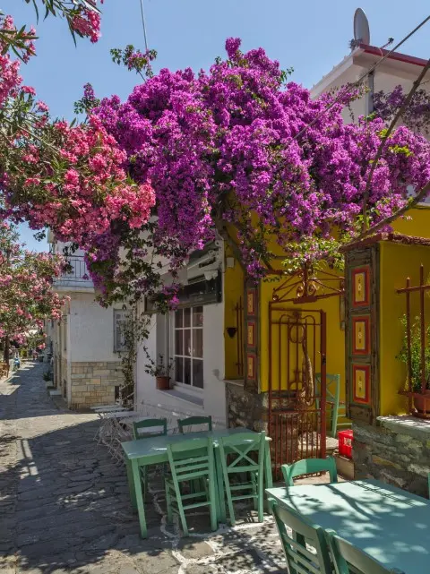 Skiathos local street restaurants