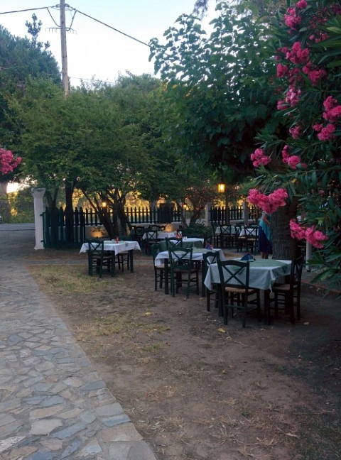Strofilia restaurant in skiathos island (Small)