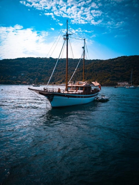 Vertical shot boat with beautiful landscape (Small)