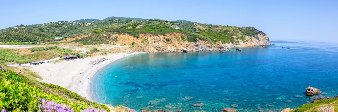 Xanemos beach vacation mediterranean sea aegean panorama travel skiathos island greece (Medium)